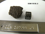 Lab Photo of Sample DOM 18130 Displaying West Orientation